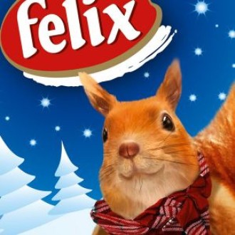 Felix